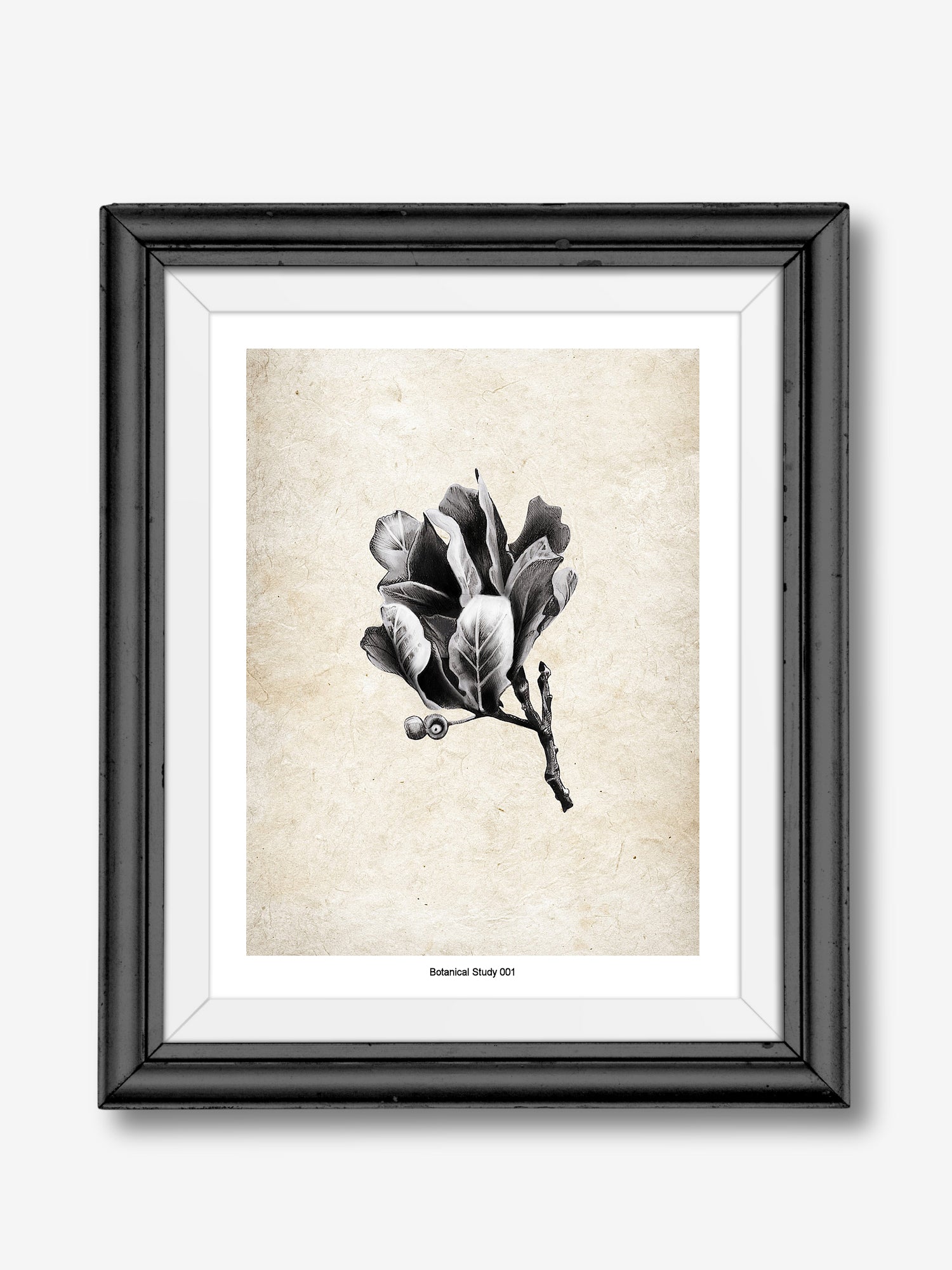 Art Print Coming Soon (003)