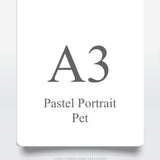 A3 Pastel Portrait - Information & Gallery