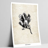 Art Print Coming Soon (003)