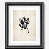 Art Print Coming Soon (003)