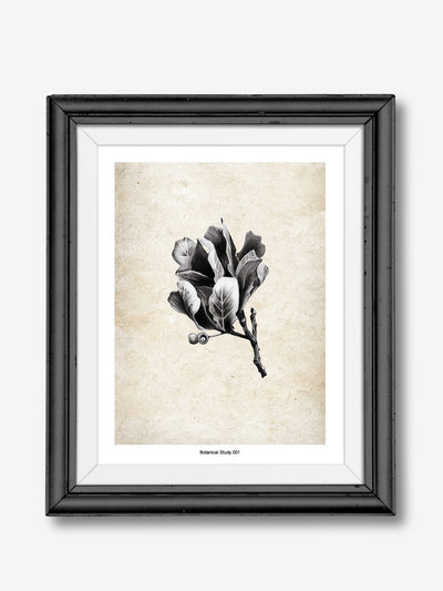 Art Print Coming Soon (003)