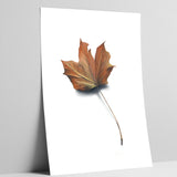 Art Print Coming Soon (001)