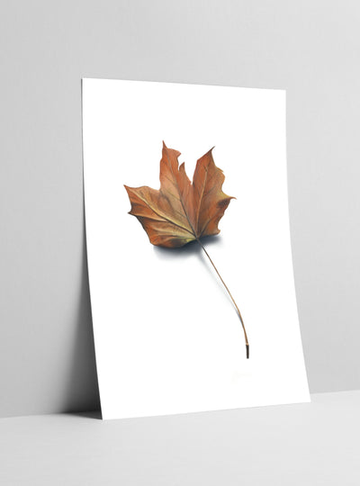 Art Print Coming Soon (001)